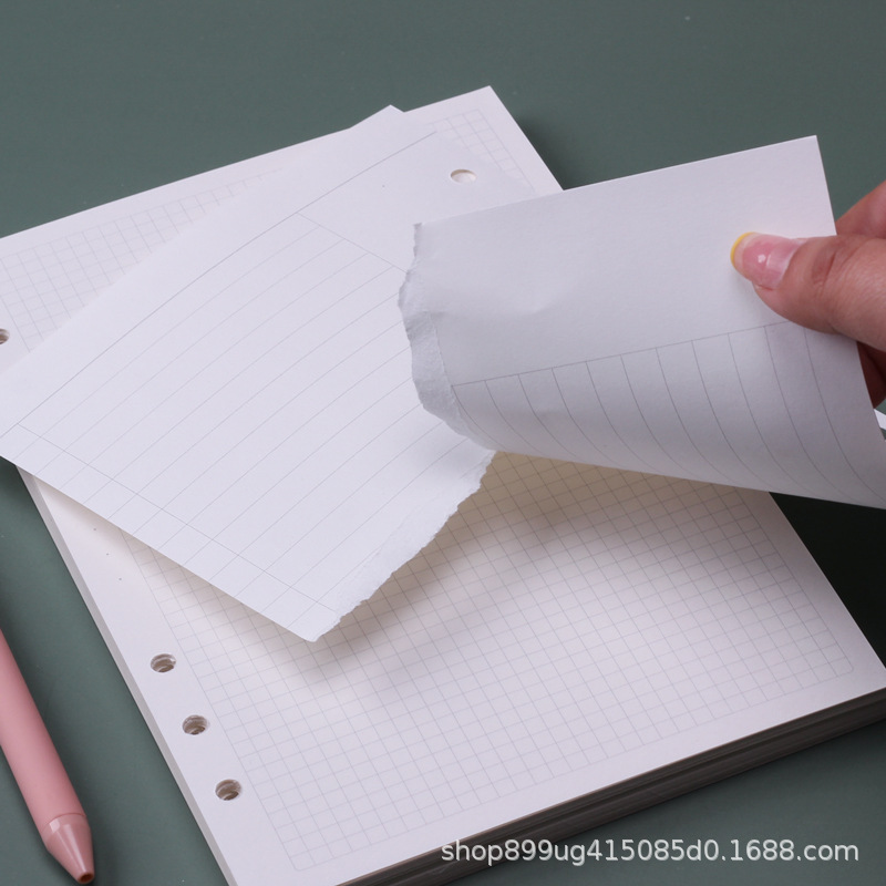 Cuaderno de hojas sueltas A5,  - A5 Spiral Dotted Grid Notebook reseña y precio