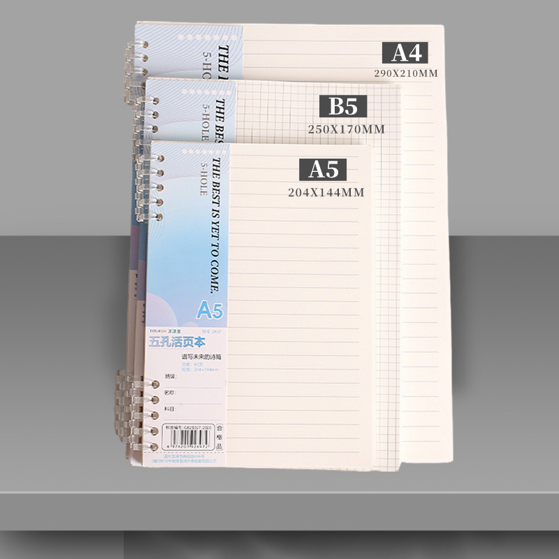Recambio de hojas sueltas para - A5 Spiral Dotted Grid Notebook reseña y precio